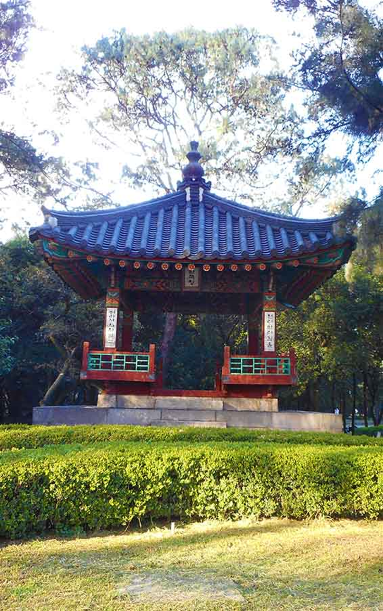 CDMX Mexico Chaputepec: Where You Find Museums: Antropology Museum, CDMX Zoo, Modern Museum, Tamayo Museum And, Mutec Museum, Chapultepec Uno, Chapultepec Castle, Chapultepec Lake and  More... Very Near Lomas De Chapultepec & Polanco
Donde Se Encuentra El Zoologico De Chapultepec, Los Museos: Museos De Arte Moderno, Museo Tamayo, Museo De Antropologia, Museo Mutec, Museo Del Nino, Lago De Chapultepec Y Mas. Muy Cerca De Polanco Y Lomas De Chapultepec y Virreyes.